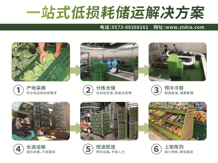 果蔬生鲜可循环物流周转箱/筐应用方案