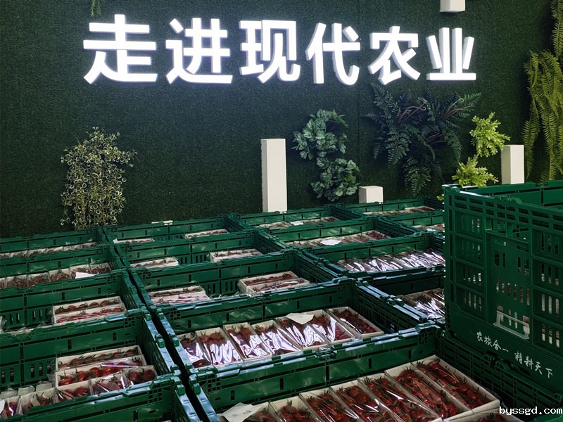 塑料折叠生鲜周转筐