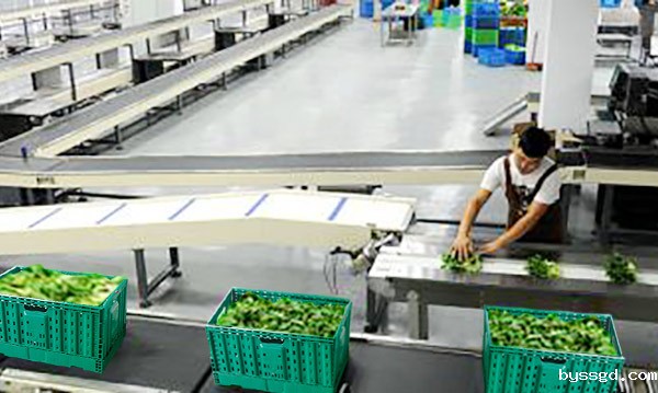 塑料折叠筐回收难？三个方法可防丢失！